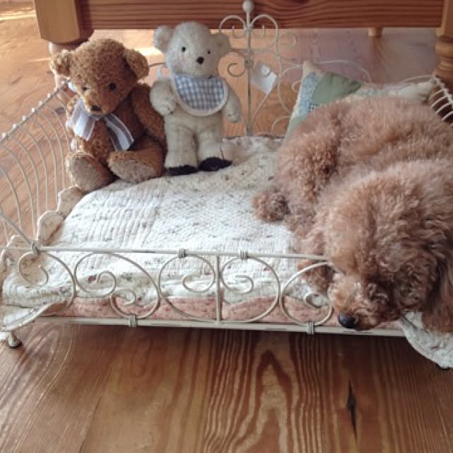 teddyさんの実例写真