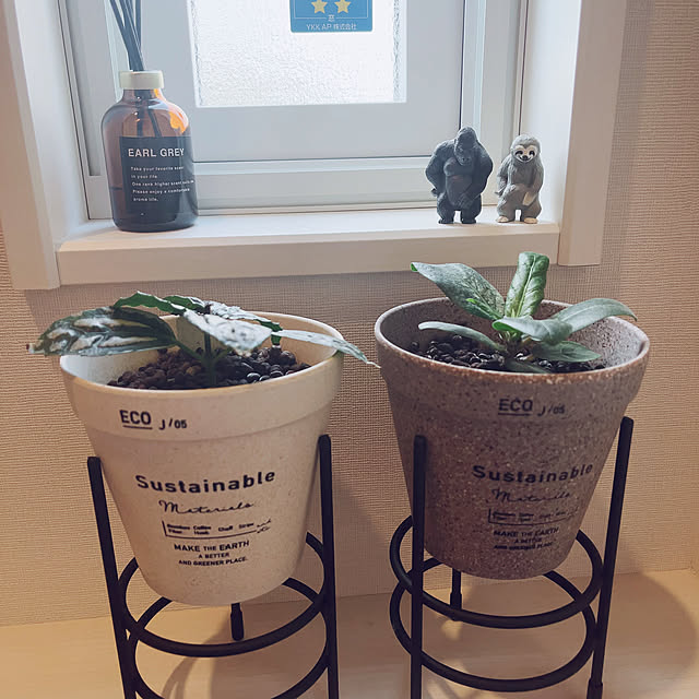 mさんの部屋