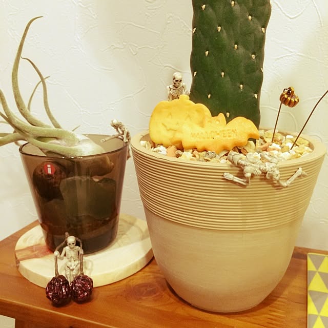 saekaさんの実例写真