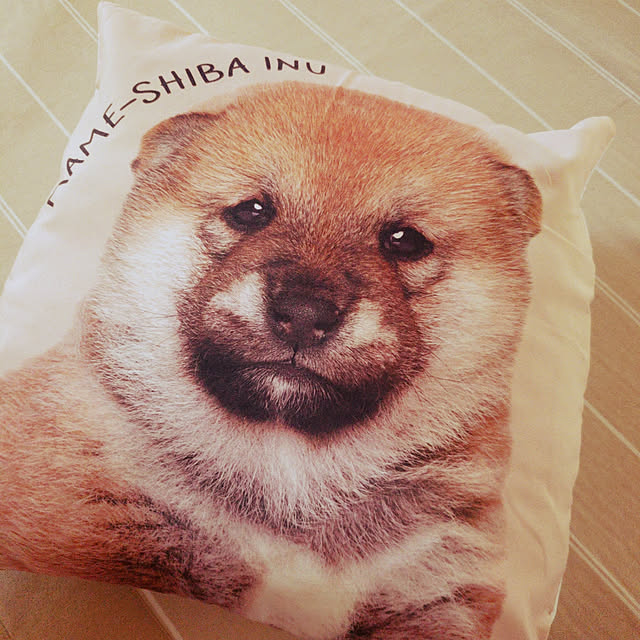 fruityanさんの実例写真