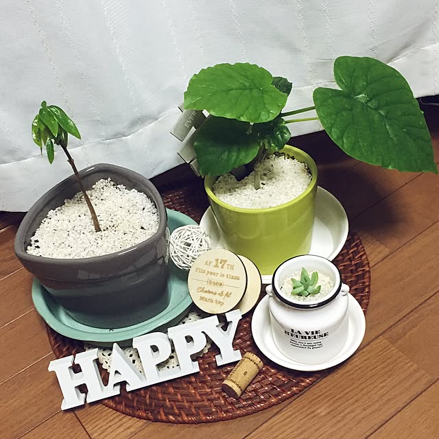popoyukiさんの実例写真