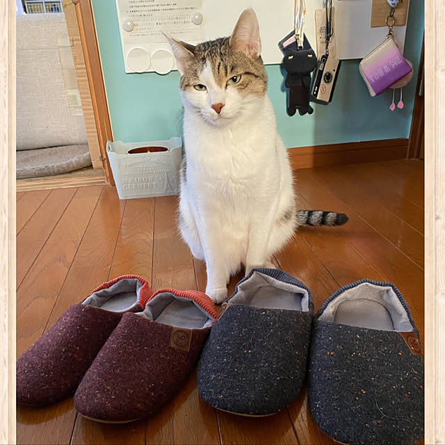 Lufuさんの実例写真
