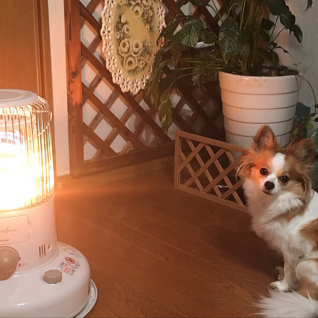 Noozさんの実例写真