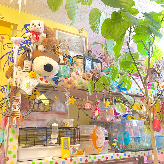 pochi3461さんの実例写真