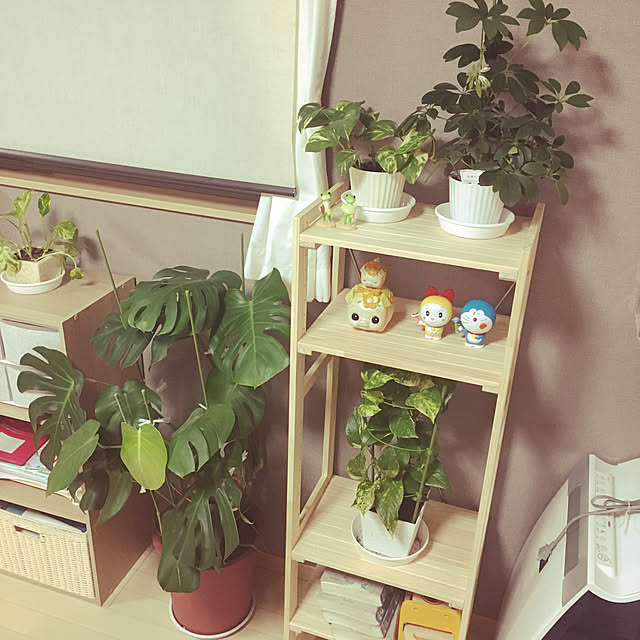 piyopiyoさんの実例写真