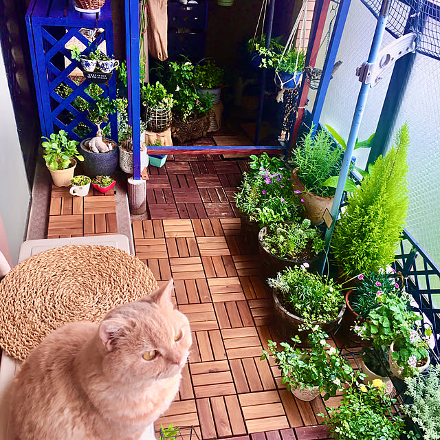 naokoさんの実例写真