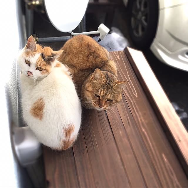 poncocoberryさんの実例写真