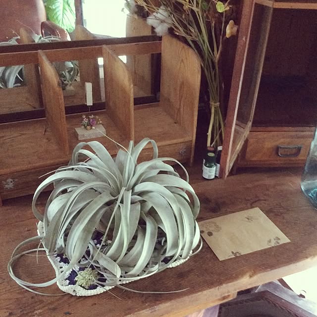 karinaさんの実例写真