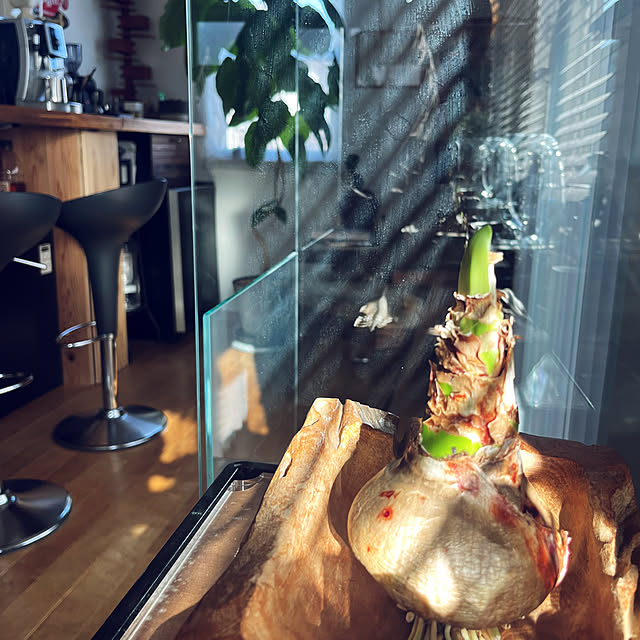 akiさんの実例写真