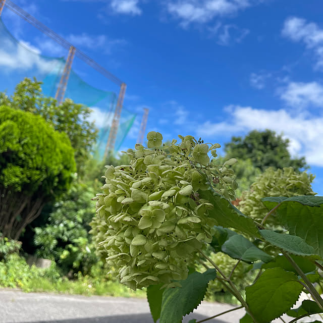 happy.happy.5.5さんの実例写真