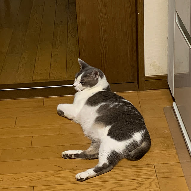 tekocyanさんの部屋