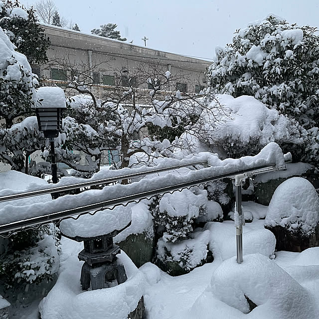 shin0719さんの実例写真