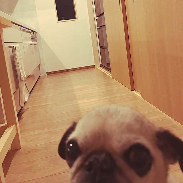 hasegagagaさんの実例写真