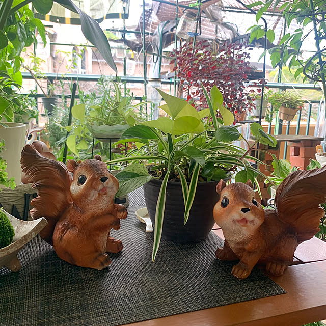 Aqettyさんの実例写真