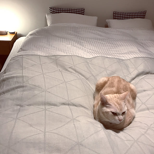 hiyupan88さんの実例写真