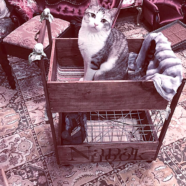 emmyyさんの実例写真