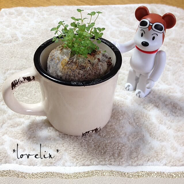 lovelinさんの実例写真