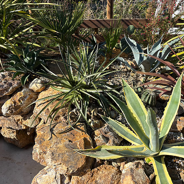 bonber0212さんの実例写真