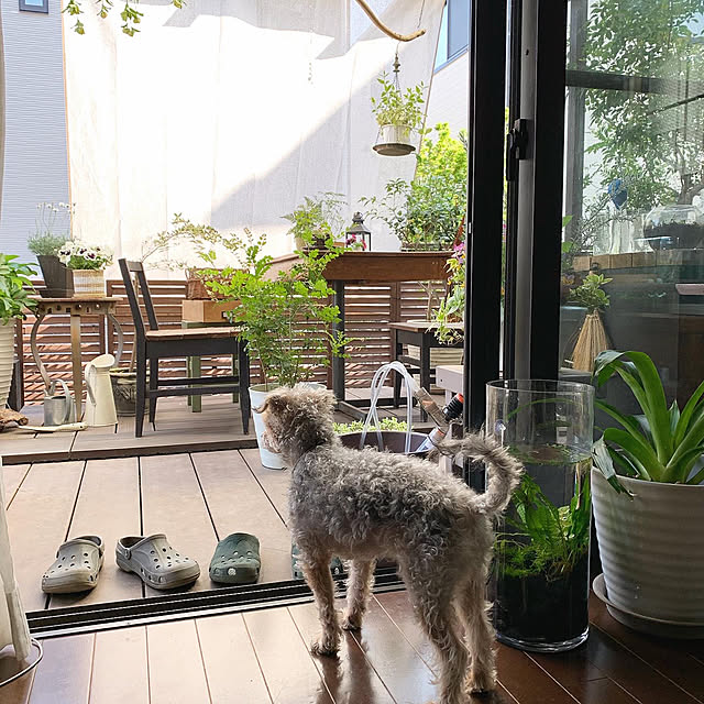 kuroさんの実例写真