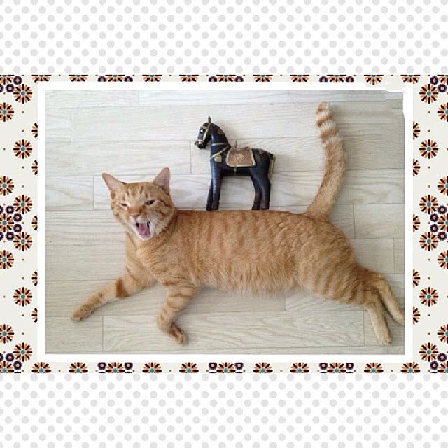 n-sanさんの実例写真