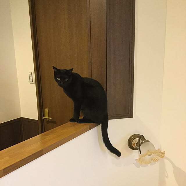 chikaさんの実例写真