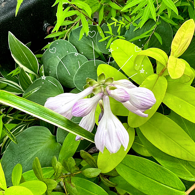 hinamamaさんの部屋