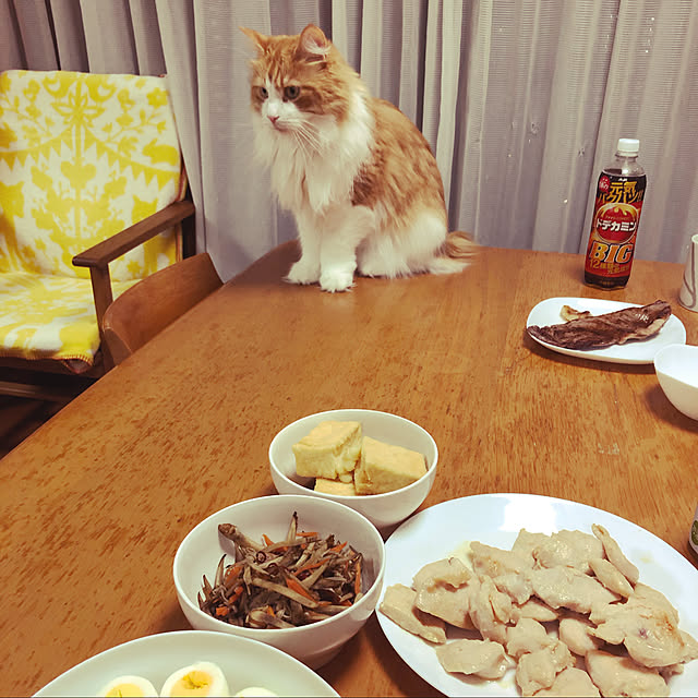 uchidaizuさんの実例写真