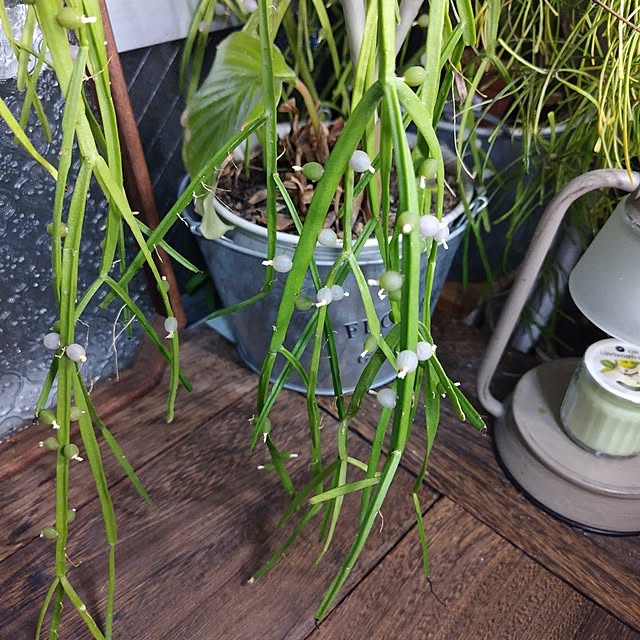 yuuu7712さんの部屋