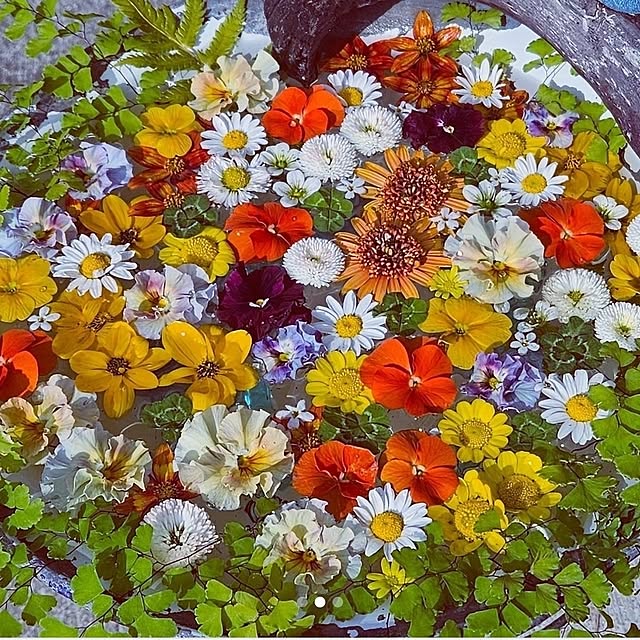 mocomocoさんの部屋