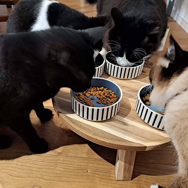 kankanmom_horn_5catsさんの部屋