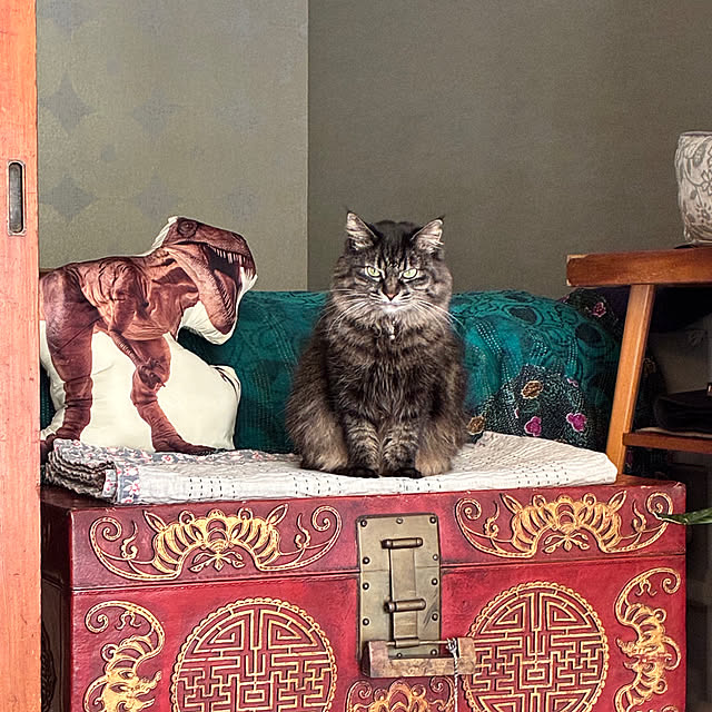 maikosho77さんの実例写真