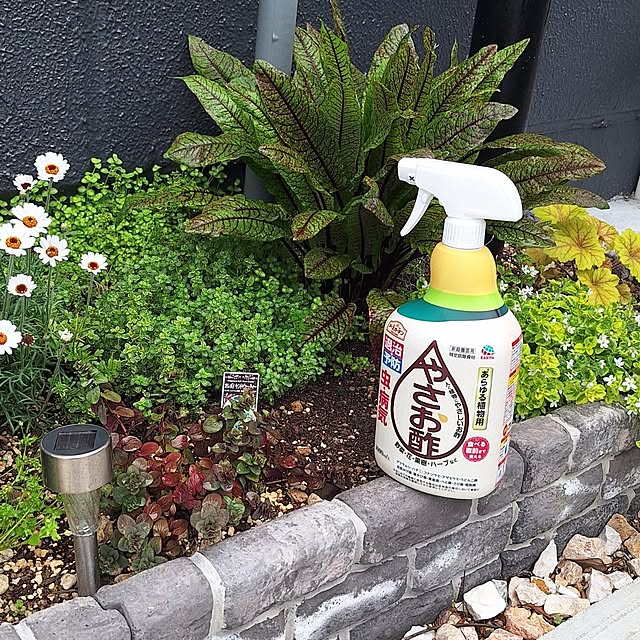 hanapanさんの部屋