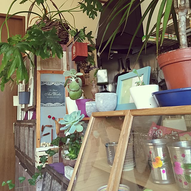 Norikoさんの実例写真