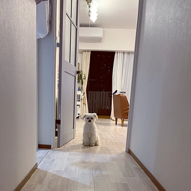 実例写真