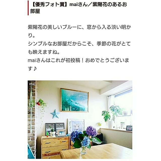 実例写真