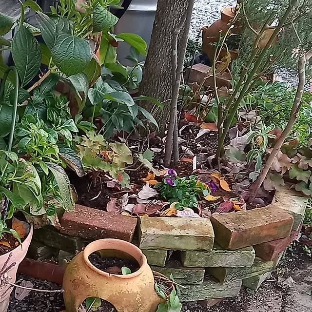 civicglさんの部屋