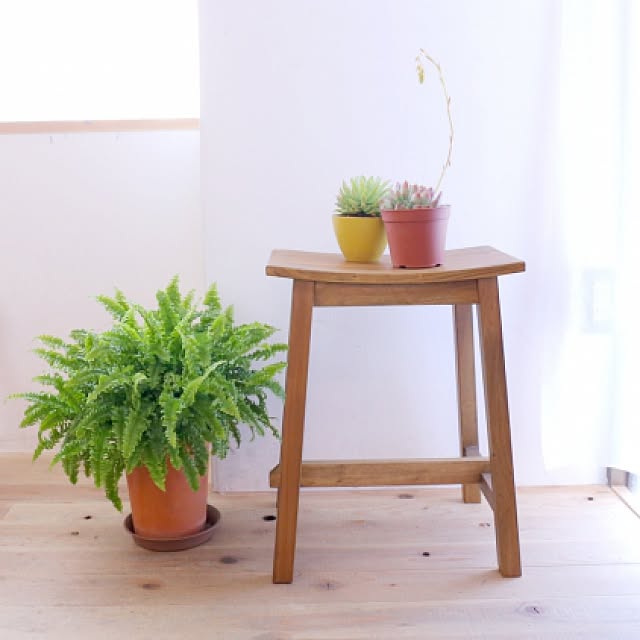 MyPlaceStoreさんの実例写真