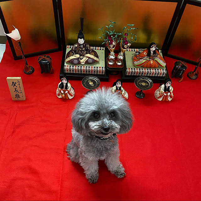 kaoさんの実例写真