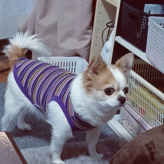 hiro.904さんの部屋