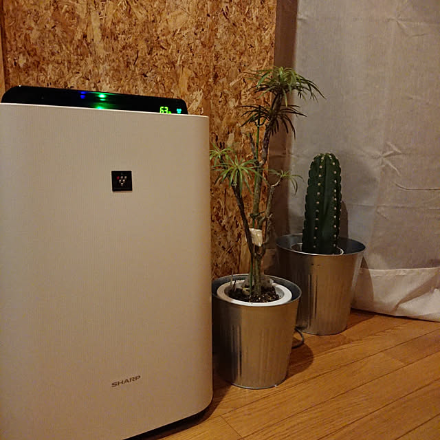 Mijoさんの実例写真