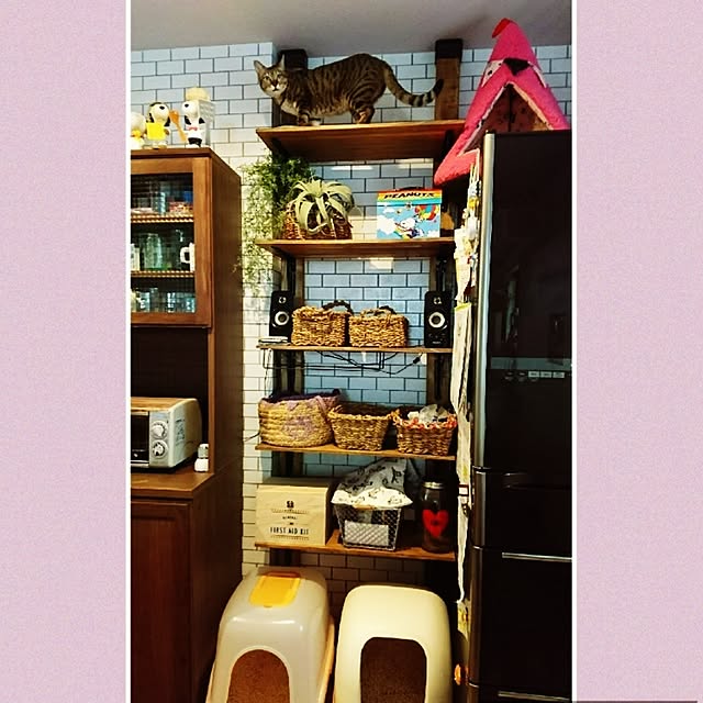 poniさんの実例写真