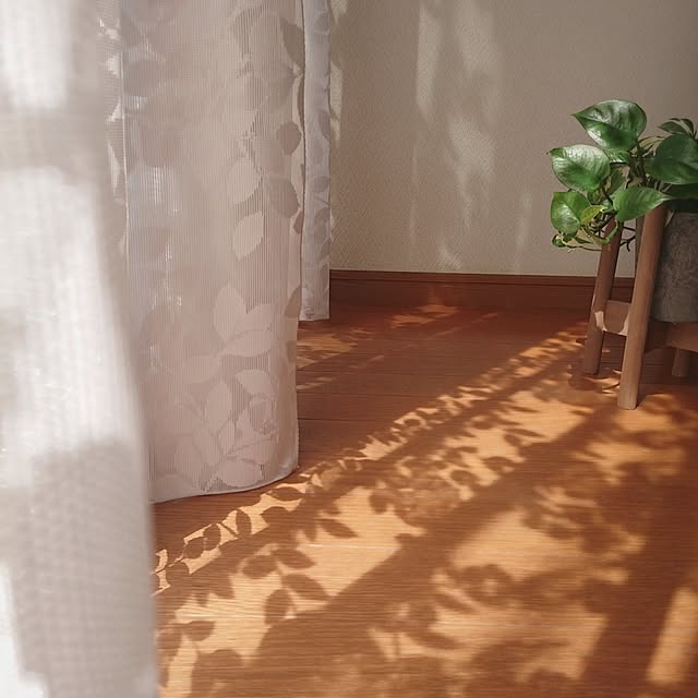 Mi-koさんの実例写真