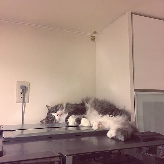 emさんの実例写真