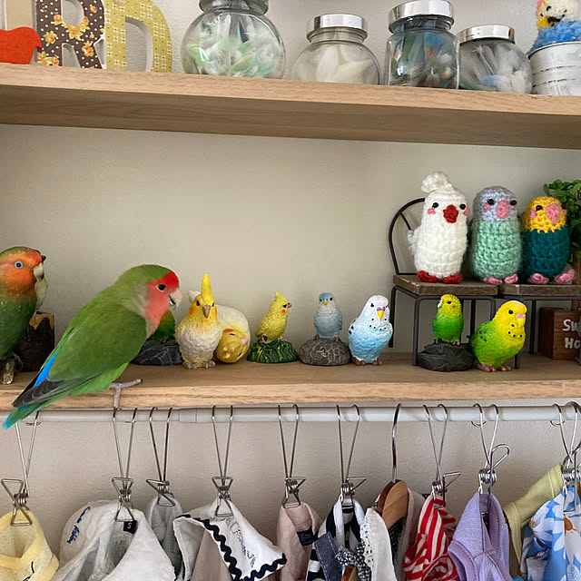 toratanさんの部屋