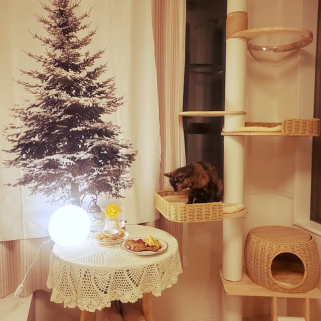 JIHYEさんの実例写真