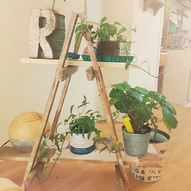 chiさんの実例写真