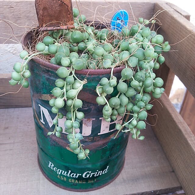 miraiさんの実例写真