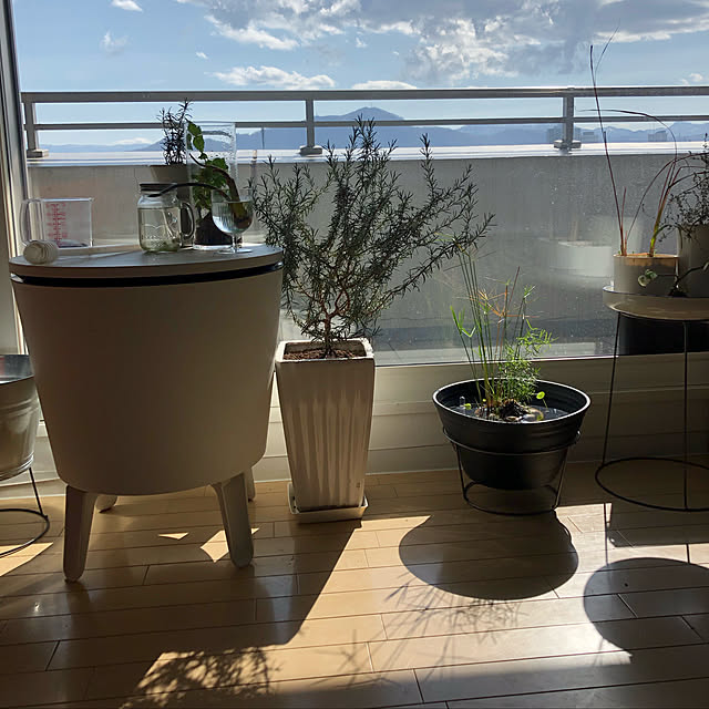 nakanakaさんの部屋