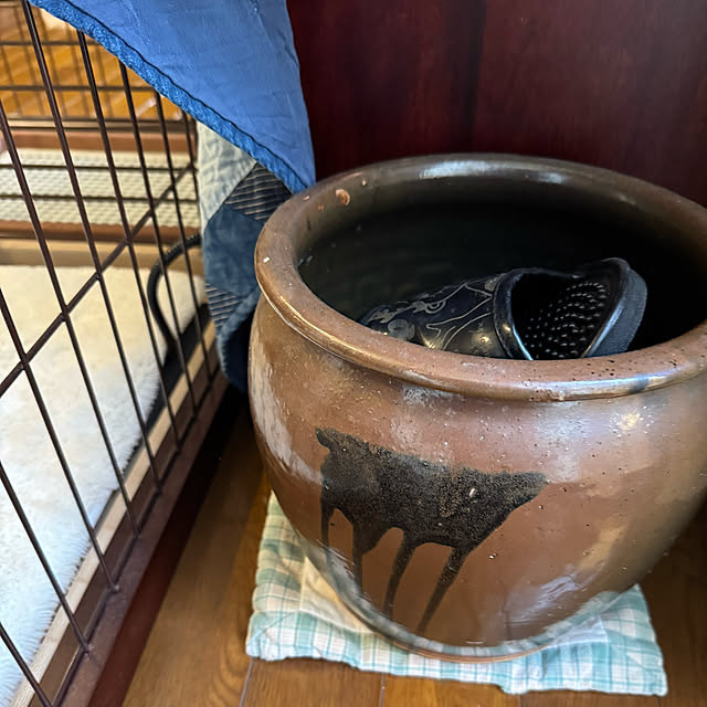 mamizaさんの部屋