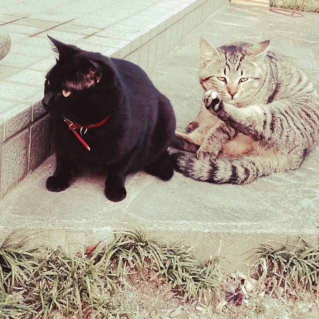 実例写真